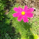20230711_111729.webp