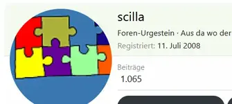 scilla.webp