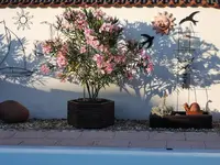 IMG_20230708_193632.webp