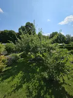20230711_113048.webp