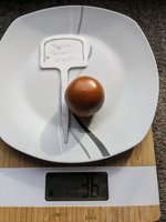 PXL_20230711_163109948.jpg
