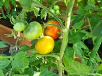 20230709_091651.webp