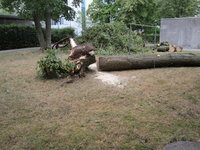 IMG_2257.JPG