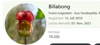 Billa 13..webp