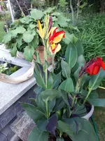 20230712_201752.webp