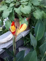 20230712_201815.webp