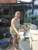 IMG_20230712_153008.webp