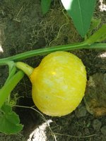 IMG_20230709_103359.jpg