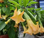 20230713_173320.webp