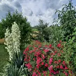 20230706_114545.webp