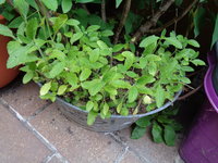 DSC00757.JPG