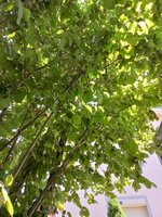 20230714_105419.jpg