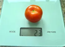 20230714_170145.jpg
