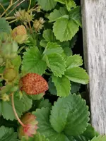 IMG-20230714-WA0003.webp