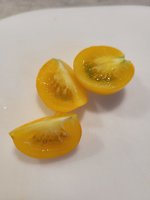 20230714_180610.jpg