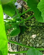 IMG-20230714-WA0018.webp