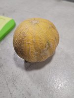 20220820_211415.jpg