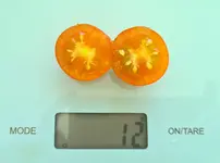 20230714_194751.jpg