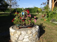 DSC03092.JPG