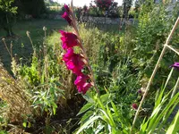 DSC03100.webp