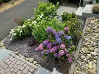 IMG_9274.webp