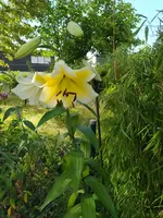 IMG_20230715_175347.webp