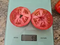 20230715_182528.jpg
