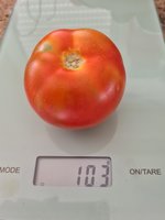 20230715_182505.jpg