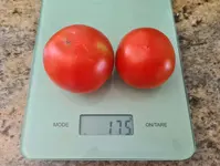 20230715_182442.jpg