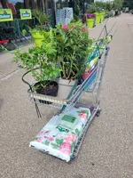 20230715_140445.jpg