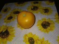 IMG_20230715_193908.jpg