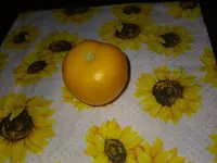 IMG_20230715_193908.webp