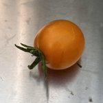 IMG_6697.jpeg