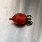 IMG_6686.jpeg