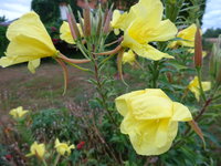 DSC03104.JPG