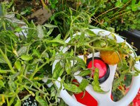 20230716_090047.jpg