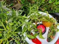 20230716_090047.jpg
