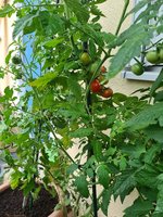 20230716_090122.jpg
