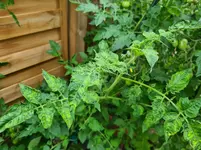 20230716_090235.webp