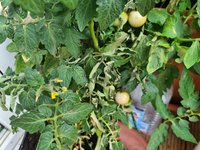 20230716_092931.jpg