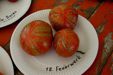 Irinas Tomatenfest1207.jpg