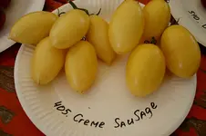 Irinas Tomatenfest1307a.webp