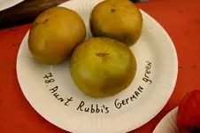 Irinas Tomatenfest1407.webp