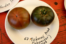 Irinas Tomatenfest1507.jpg