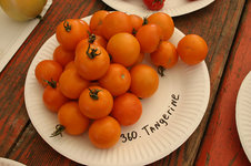 Irinas Tomatenfest1607.jpg