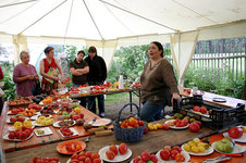 Irinas Tomatenfest1807.jpg