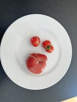 94288303-B0FE-43F1-936A-7FD87DF736D7.jpeg