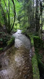 IMG_20230716_072243427_HDR.webp