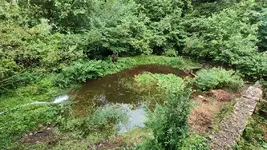 IMG_20230716_075214899_HDR.webp