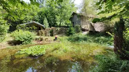 IMG_202307ccccc09_115130403.webp